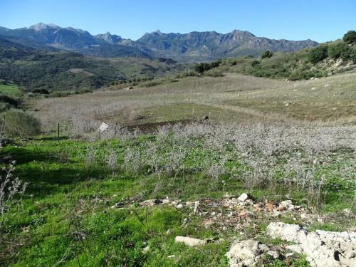 Cortijo La Laguna