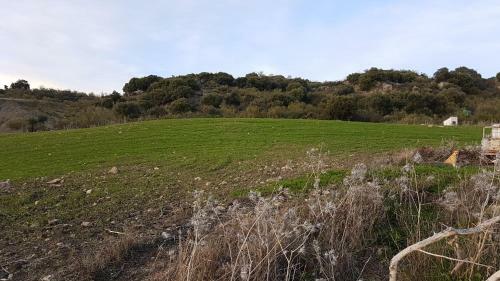 Cortijo La Laguna