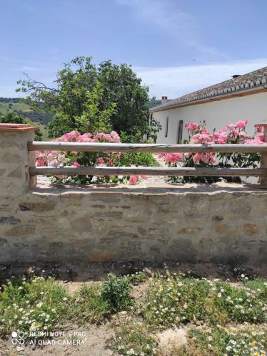 Cortijo La Laguna