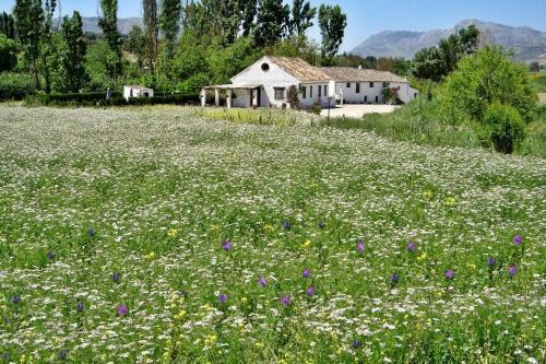 Fincaretama Farmhouse Apartment Ronda
