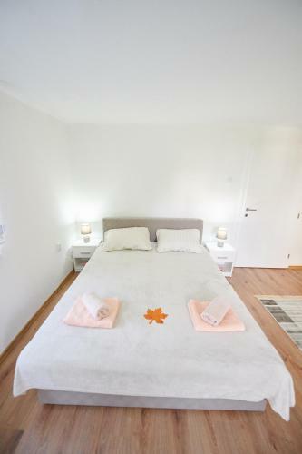 Lovely House Apartment