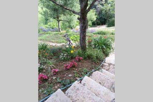 Wooden Cottage - Pure Nature, Peace And Rest