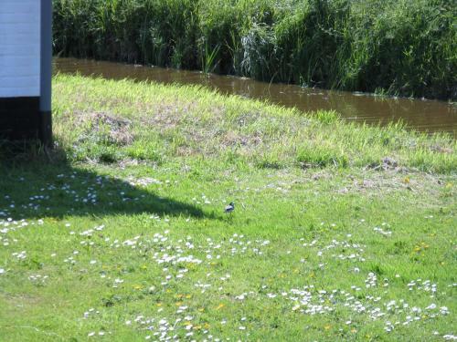 Vakantiehuis Warder