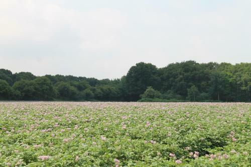 Lodge Gastenverblijf Munnickenheide