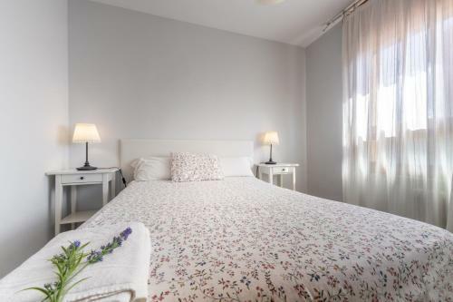 Apartamento Pirineo Aragon�s