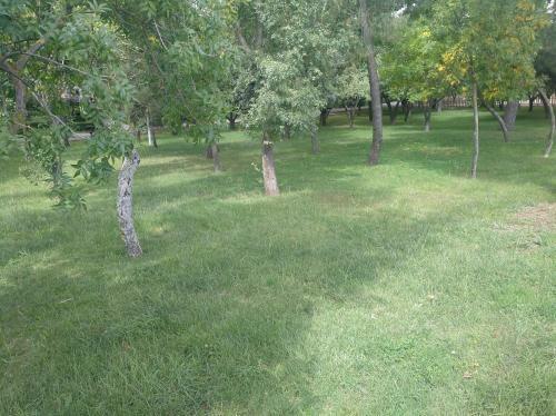 Apartamento Aparcamiento Privado Gratis Parque Jesuitas Y Centro,