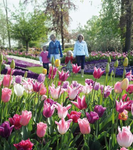 Recreatiecentrum Koningshof