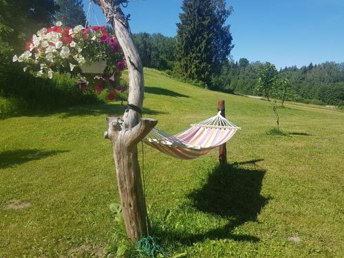 Kullipera Holiday House In Haanja