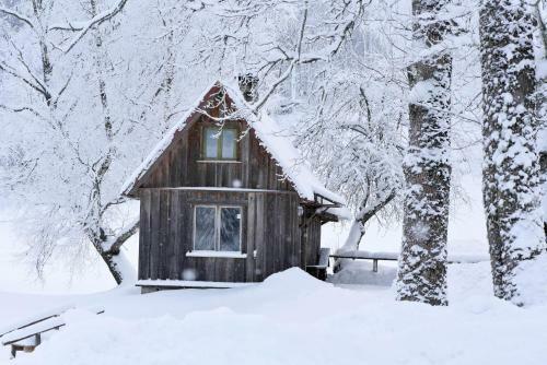 Kullipera Holiday House In Haanja