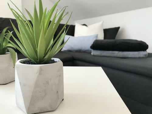 Apartamento Zollernalb-apartment
