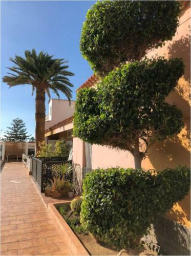 Apartamento Don Manuel Deluxe 2 Bedroom
