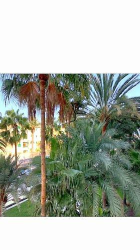 Apartamento Maspalomas Del Mar
