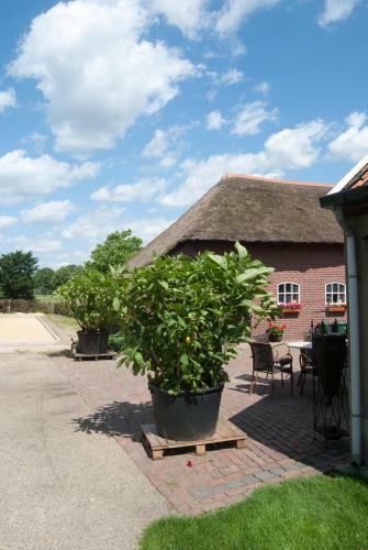Hotel De Martiene Plats B&B & Appartement