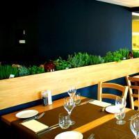 Zaan Inn Hotel
