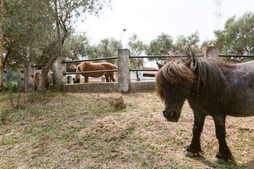 Apartamento Masia Can Rovira - Esc1852
