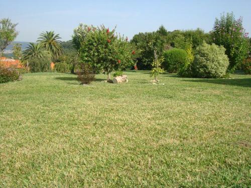 Apartamento Aparmatento En El Rural