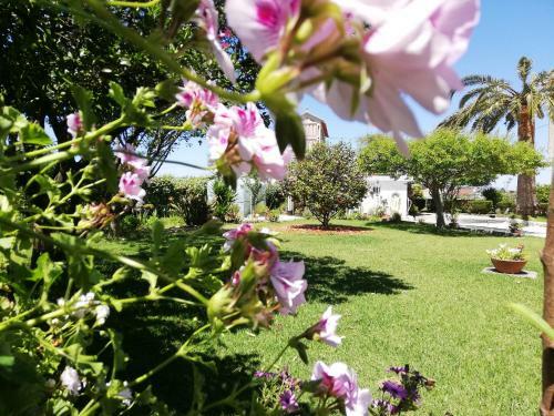 Apartamento A Quinta Das Bolboretas