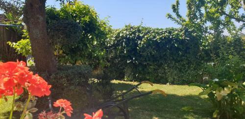 Apartamento A Quinta Das Bolboretas