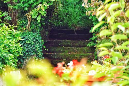 Pazo Revel Hotel & Resort