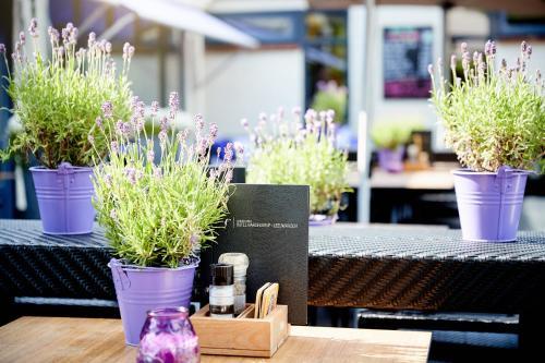 Van Der Valk Hotel Hardegarijp - Leeuwarden