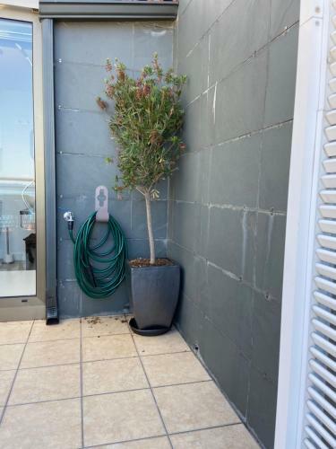 Apartamento �tico De Lux Sanxenxo