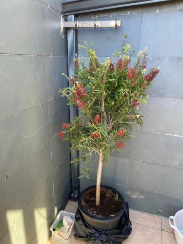 Apartamento �tico De Lux Sanxenxo