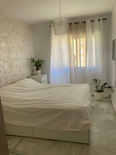 Central Apartment Walking Distance To The Beach