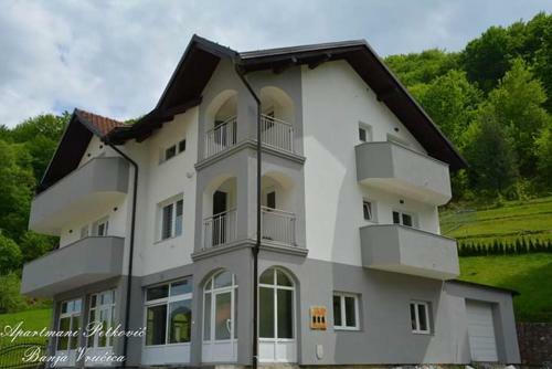 Apartmani Petkovic