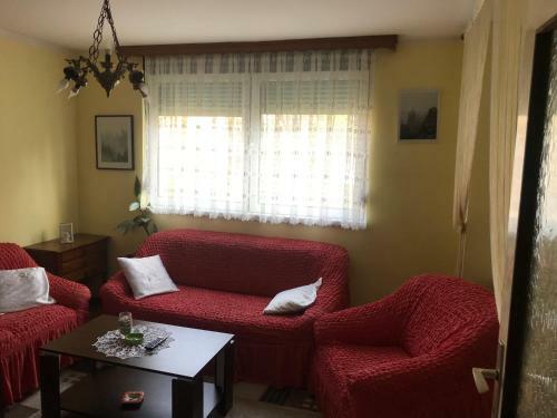 Apartman/stan Na Dan Tesli?