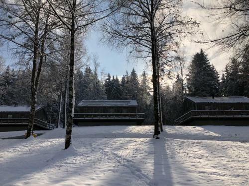 Chalet De Charme, Le "caribou Lodge", Eifel Belge