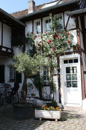 Apartamento Kleine Fachwerkwohnung