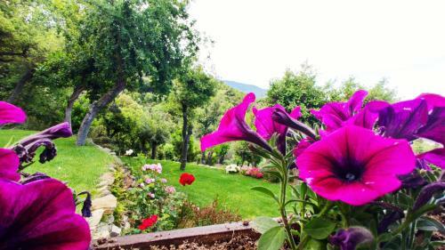 Els Refugis Del Montseny Cal Somni