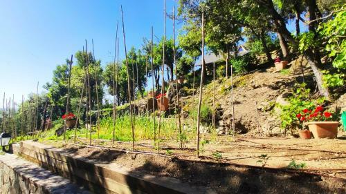 Els Refugis Del Montseny Cal Somni
