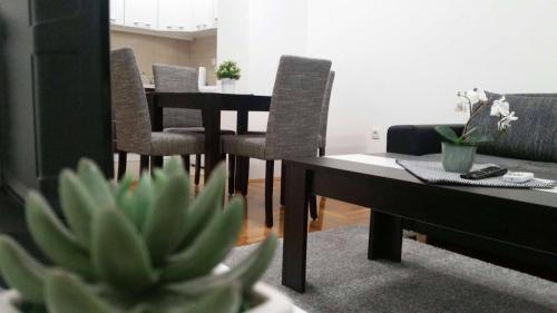 Apartman Jovanka 1