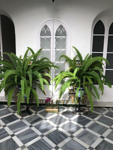 Suite Privada En Casa Del S XIX