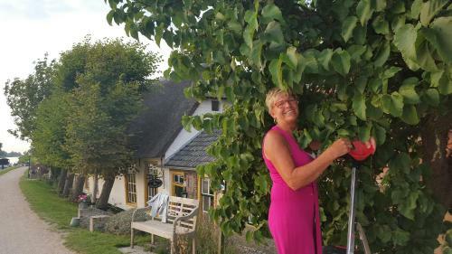 B&B Rechthuis Van Zouteveen