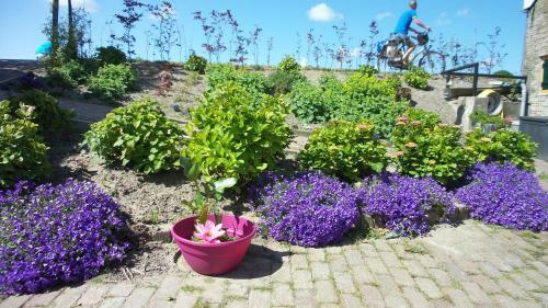 B&B Rechthuis Van Zouteveen