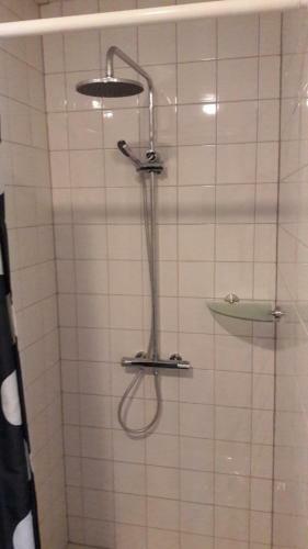 B&B Siberi�