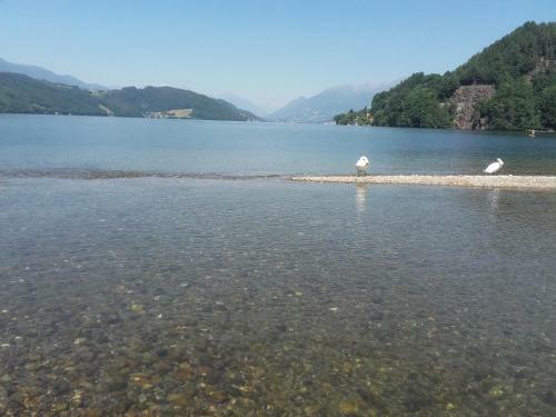 Ferienhaus D�briach Am Millst�tter See