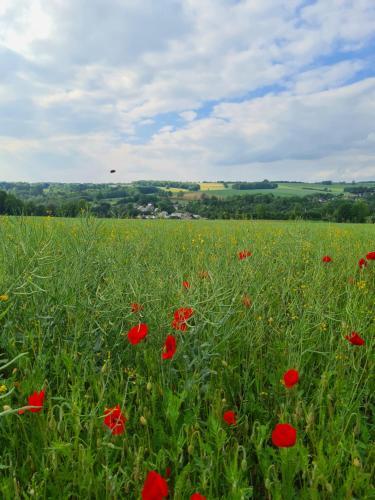 Gite La Petite Beurrerie Des Ardennes