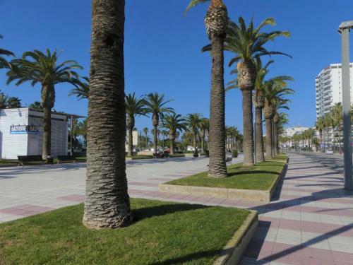 Apartamento Zeus Auriga