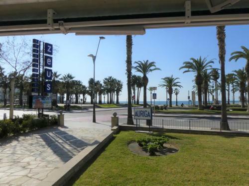 Apartamento Zeus Auriga