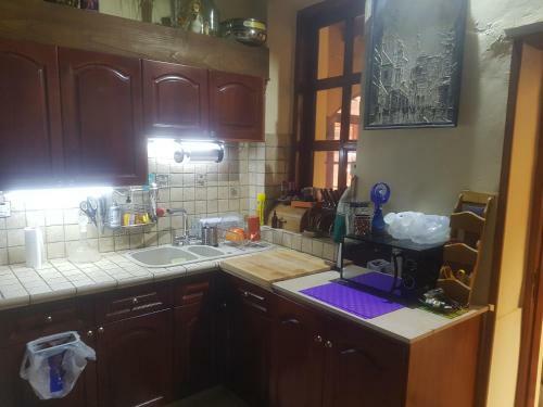 Sylvias Antique House