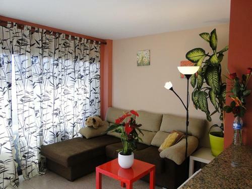 Apartamento �tico Louis Braille