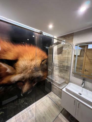 Forresto Apartmani Jahorina