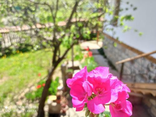Villa Boutique Guest House "samikan"