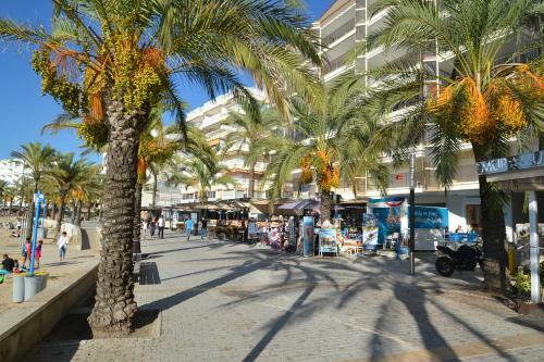 Apartamento Wvp - Casalmar