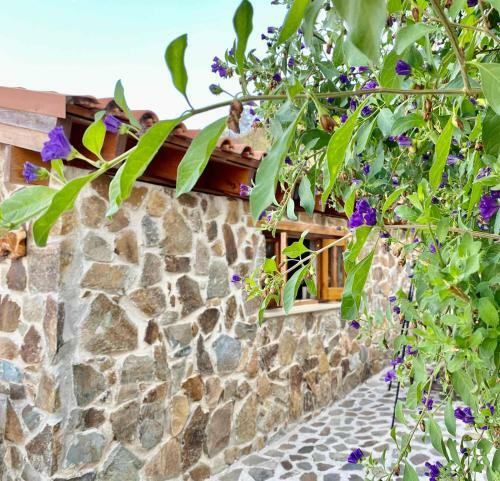 Pachyammos Sea View House