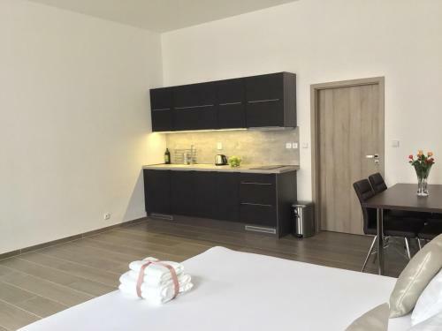 Euro Apartments Lidick� 39 Brno