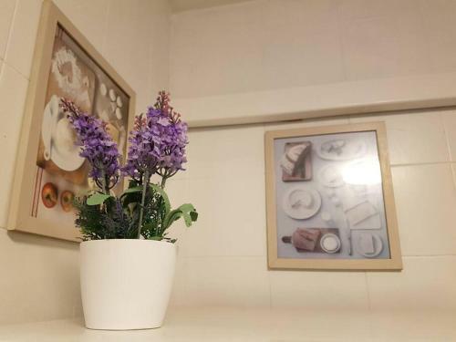 Apartamento Excepcional,piscina Y 100m De La Playa